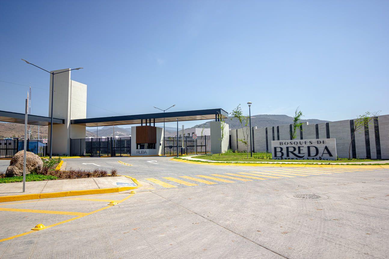 BDB-50.jpg
