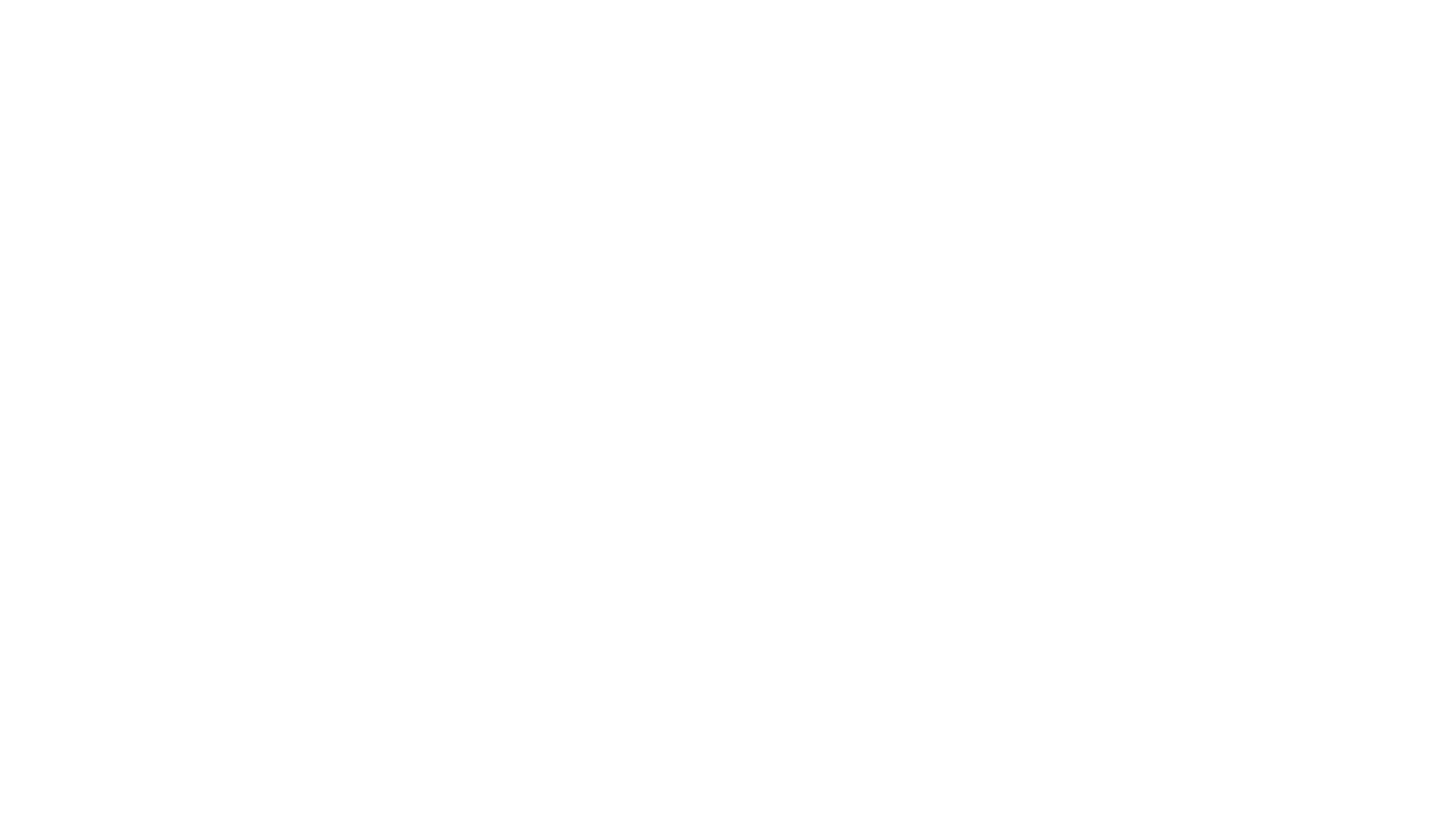 Logo_Zenith_05.png