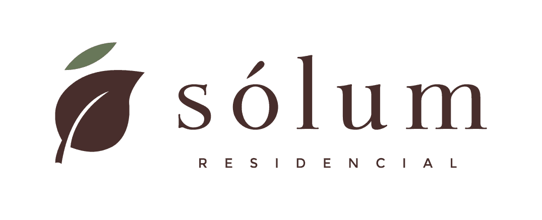SOLUM LOGO HORIZ 24 .png