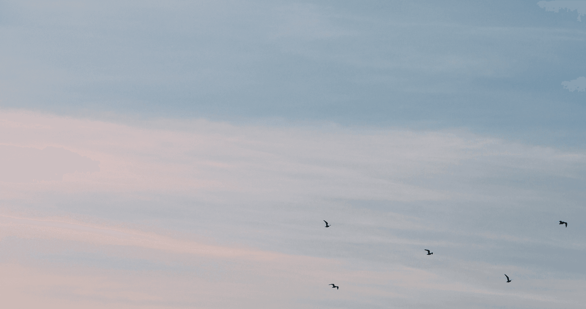 Cielo Ruba